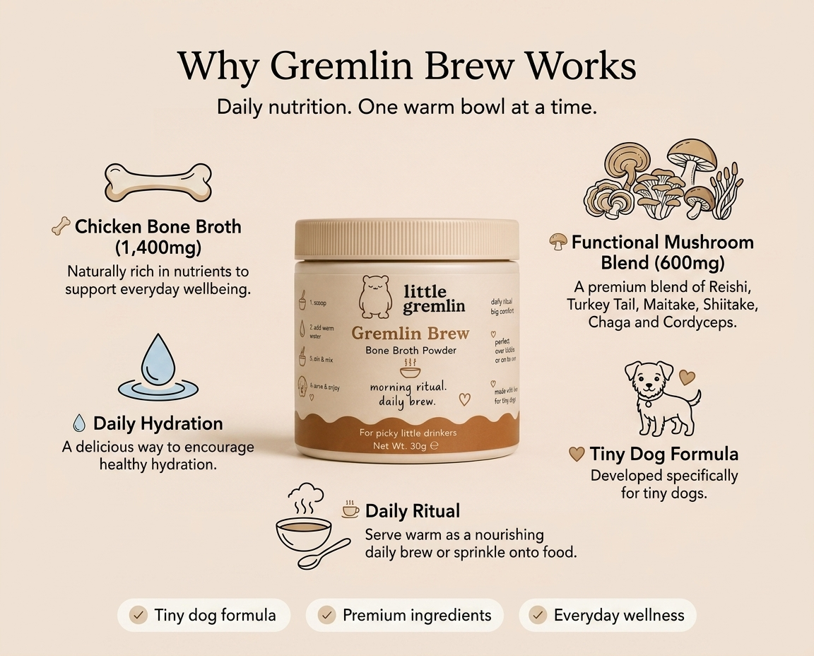 GREMLIN BREW