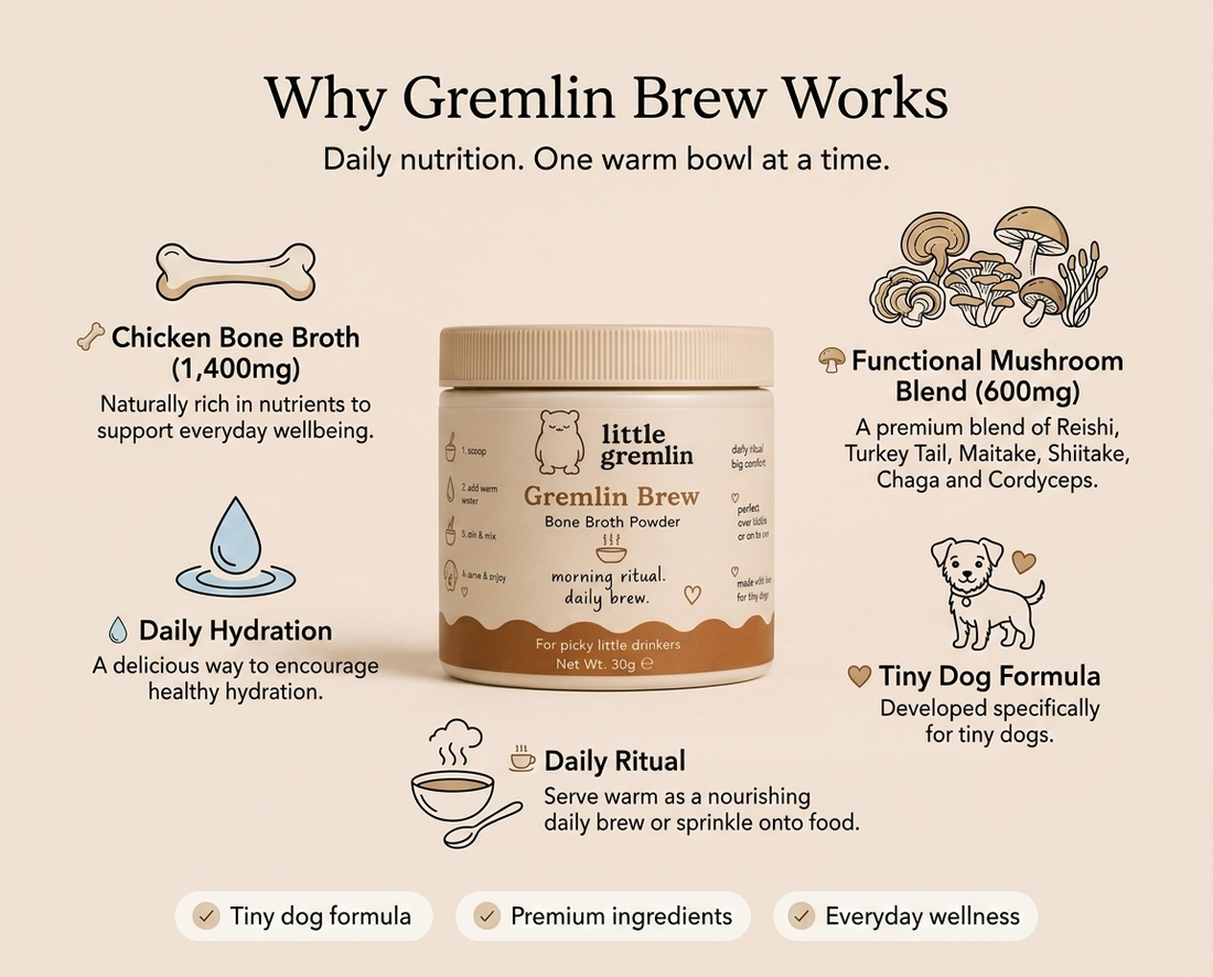 GREMLIN BREW
