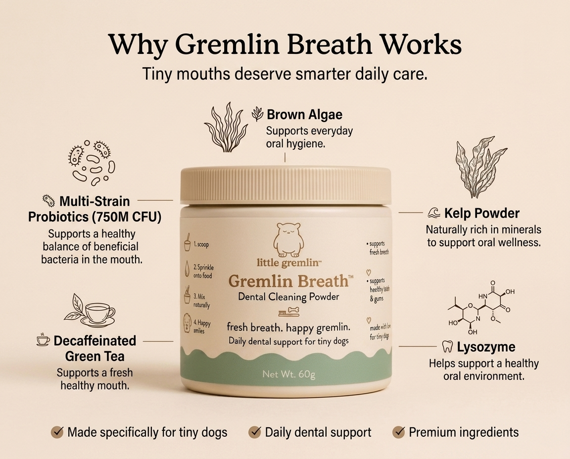 GREMLIN BREATH
