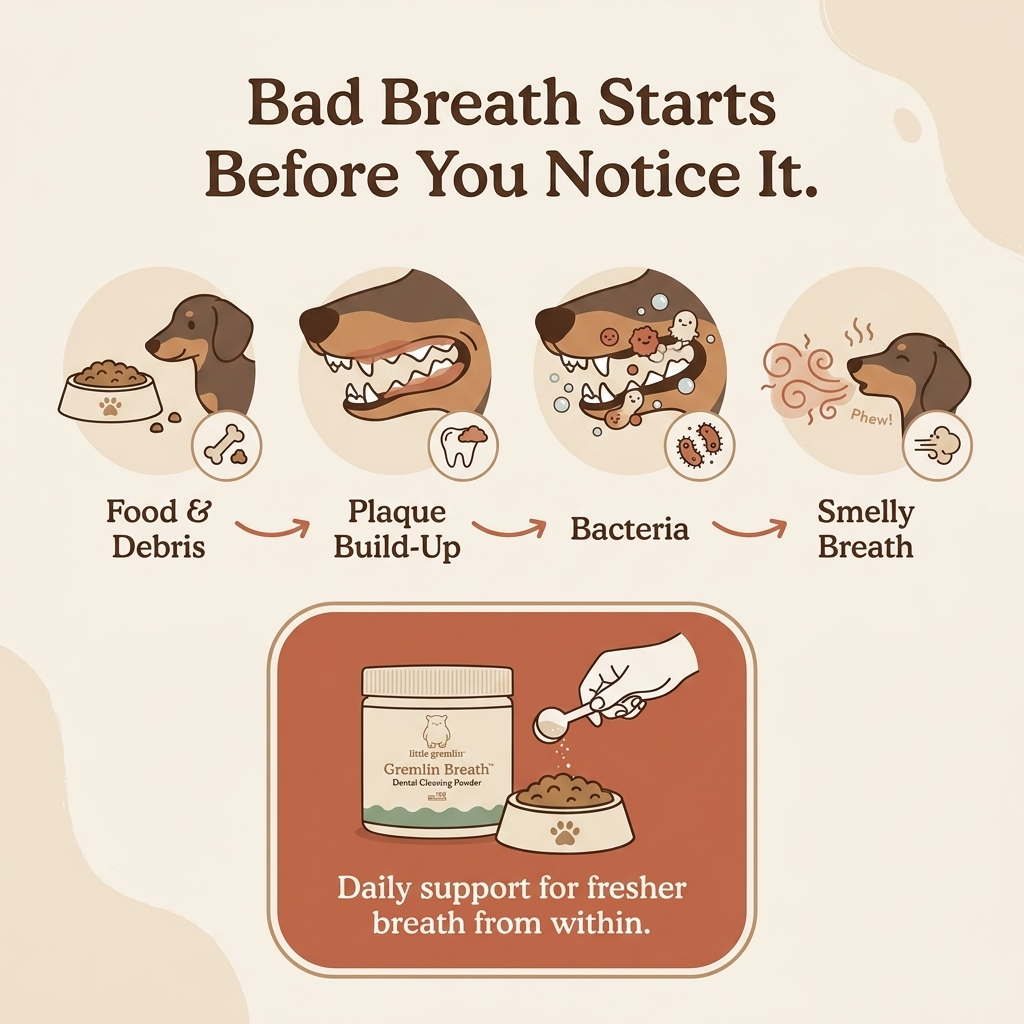 GREMLIN BREATH