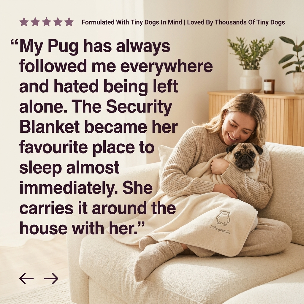 SECURITY BLANKET